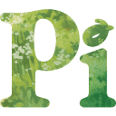 Pi.ai