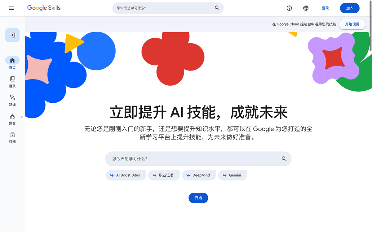 Google Skills