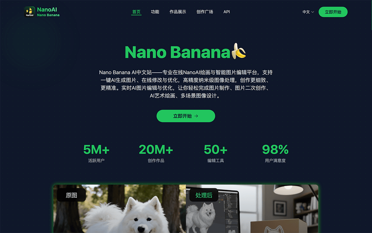 NanoAI