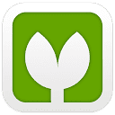 Vectorpea