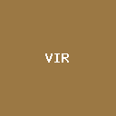 Viral Launch