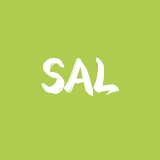 SaleYee赛盈分销